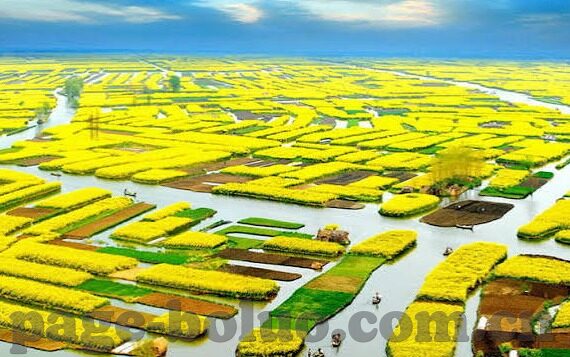 91麻豆精东天美星空-91系作品的当代艺术启迪