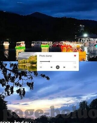 大象传媒网址-大象传媒，数字时代的文化桥梁