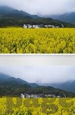 伦理图片视频亚洲-伦理、图片、视频与亚洲的微妙交织