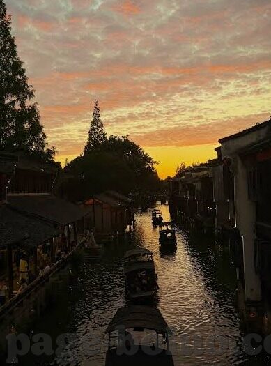 芒果大象回家视频-芒果、大象与回家的奇迹，一段温馨的旅程