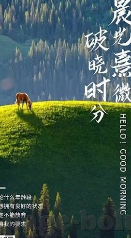 调教母狗人妻-调教母狗人妻，一种误解与误解的澄清